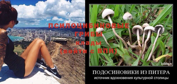 гашик Абаза