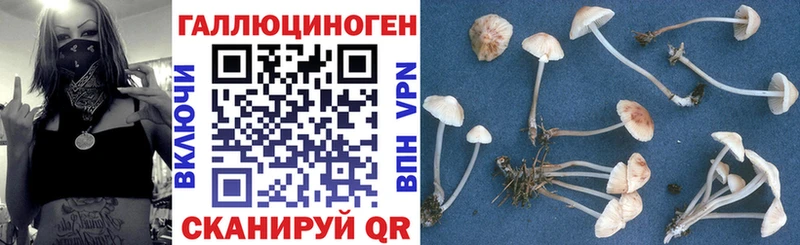Галлюциногенные грибы прущие грибы  купить наркотик  blacksprut   Кисловодск 