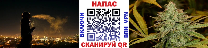 купить наркоту  Кисловодск  Канабис VHQ 